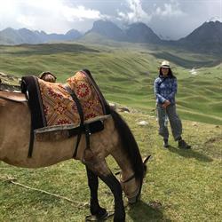 Shirdak Silkroad Textile, Garderen openingstijden