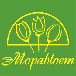 Mopabloem BV, Rijsenhout openingstijden
