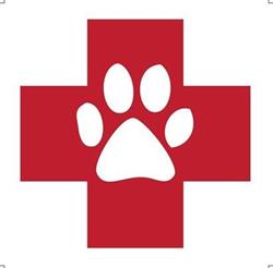 Dierenarts Marcon, Munstergeleen openingstijden