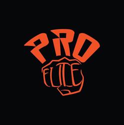 Pro Elite Kickboksen Zwolle, openingstijden