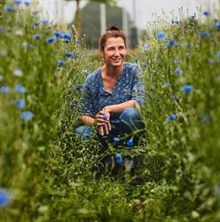 De Bloementuin Zwolle, openingstijden