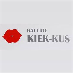 Galerie Kiek-Kus Deventer, openingstijden