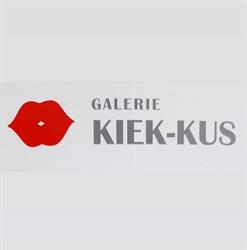 Galerie Kiek-Kus Deventer, openingstijden