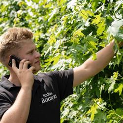 Baltus Bomen, Gemonde openingstijden
