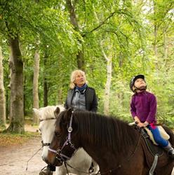 Hestar Kraftur - Coaching met IJslandse Paarden, Eemnes openingstijden