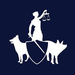 Dier&Recht, Amsterdam openingstijden