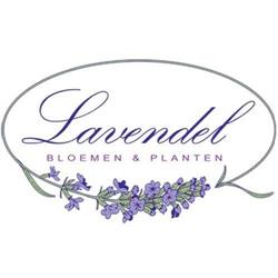 Lavendel B.V., Driebergen-Rijsenburg openingstijden