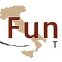 Fundadore Travels, Heerhugowaard openingstijden