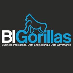 BIGorillas, Utrecht openingstijden