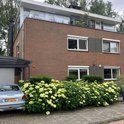 Fienancy, Amsterdam openingstijden
