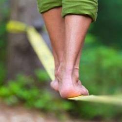 Repairing Balance Nederland, Schipluiden openingstijden