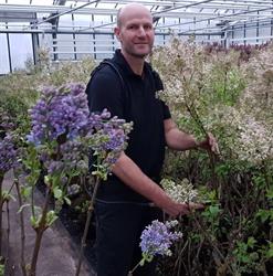 De Seringen Specialist, Aalsmeer openingstijden