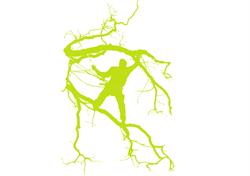 Salix Boomzorg, Gasteren openingstijden