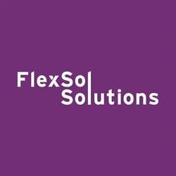 FlexSol Solutions BV, Delft openingstijden