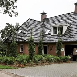 Reitsmahoeve Bed & Breakfast, Doezum openingstijden
