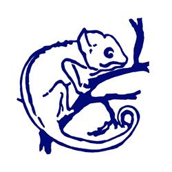 Leidse Biologen Club, Leiden openingstijden