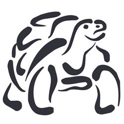 Stichting Schildpaddenopvang Nederland, Harkema openingstijden
