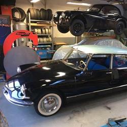 Citrogyz, Wateringen openingstijden