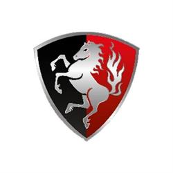 Twente automotive, Enschede openingstijden
