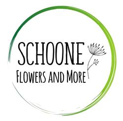 Schoone Flowers and More, Assendelft openingstijden