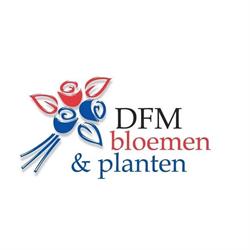 DFM Bloemen & Planten, Oss openingstijden