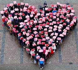 Stichting Máscura, Hulst openingstijden