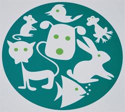 Dierenspeciaalzaak Rijen, openingstijden
