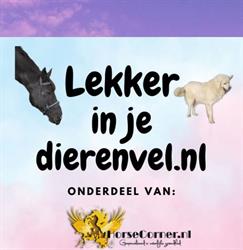 Horse Corner, Uitwijk openingstijden