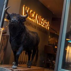 Vaca Negra Steak & Grill, Zwolle openingstijden