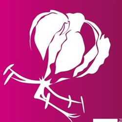 BLOEMENVAKSCHOOL FLORAL ACADEMY BY ELSO POST, Ede openingstijden