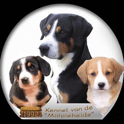 Kennel van de Malpieheide, Valkenswaard openingstijden