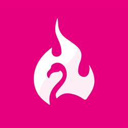 Flamingo Media, Sint Jansklooster openingstijden