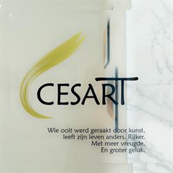 Cesart, Maastricht openingstijden