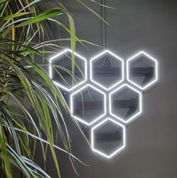 shape shifters arnhem, Arnhem openingstijden