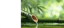 Natuurgeneeskundige Praktijk Fervanderbeek, Tilburg openingstijden