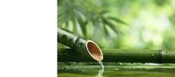 Natuurgeneeskundige Praktijk Fervanderbeek, Tilburg openingstijden