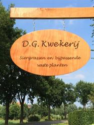 D. G. Kwekerij, Daarlerveen openingstijden