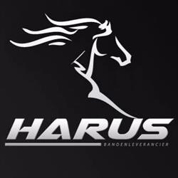 Harus Banden / Bandenleverancier, Ederveen openingstijden