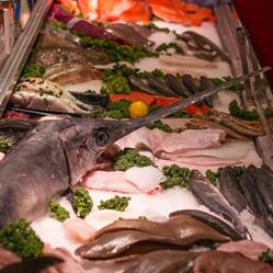 Zee Op Tafel, 's-Gravenhage openingstijden
