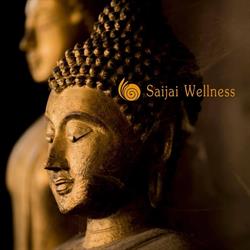 Saijai Wellness, 's-Gravenhage openingstijden