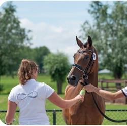 Trainingsstal Leeflang, Wamel openingstijden