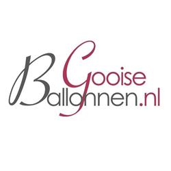 Gooise Ballonnen, Laren openingstijden
