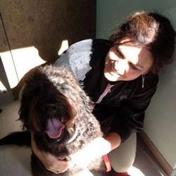 Trimsalon/Hondentrimsalon Dog Style en Dog Food, Pijnacker openingstijden