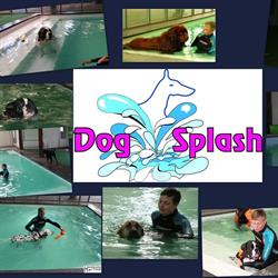 Dogsplash, Buinerveen openingstijden