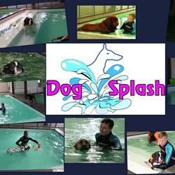 Dogsplash, Buinerveen openingstijden