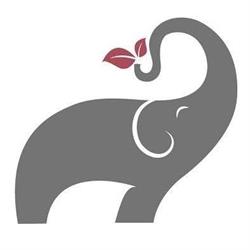 Nappy's.nl, Meppel openingstijden