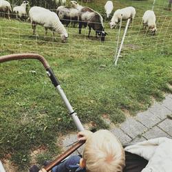 By De Hân, Lippenhuizen openingstijden