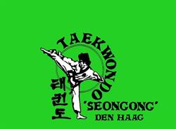 Taekwondo Seongong, 's-Gravenhage openingstijden