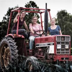 Biologische tuinderij De Stroom, Randwijk openingstijden