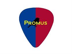 Promus Webdesign, Nieuwleusen openingstijden